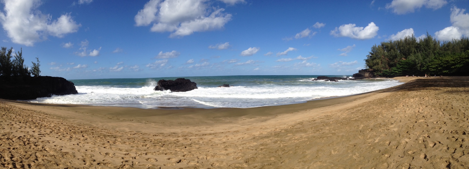 426 DSC01980b IMG 4157